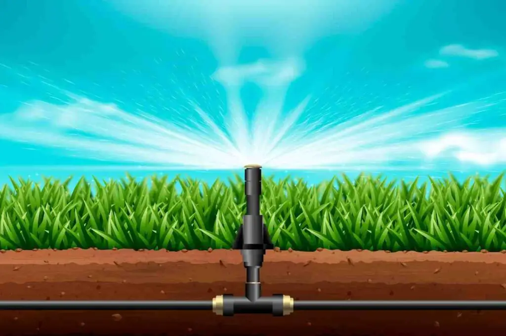 overhead sprinkler watering system